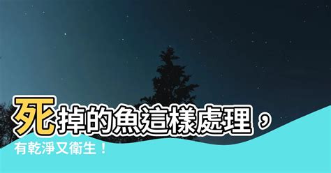 小魚死掉怎麼處理